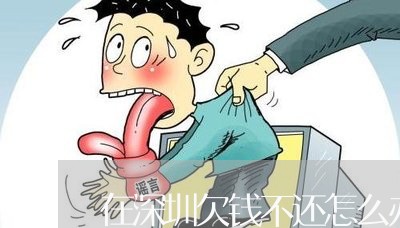 在深圳欠钱不还怎么办/2023110216350