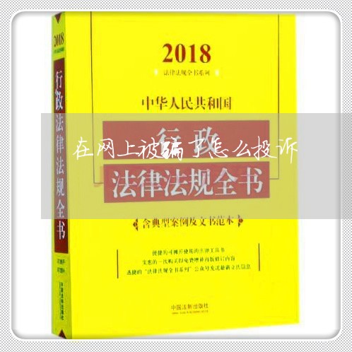 在网上被骗了怎么投诉/2023032784936