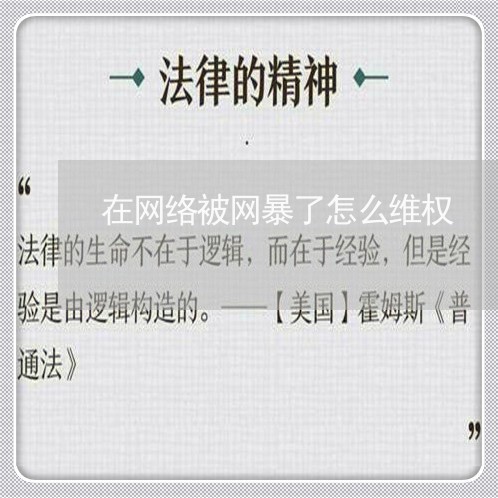 在网络被网暴了怎么维权/2023062417258