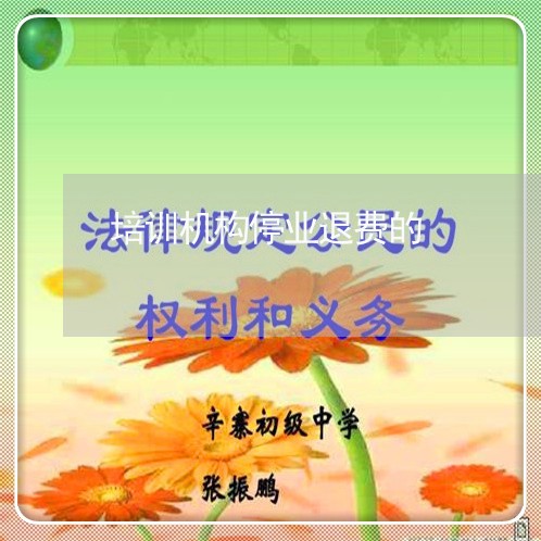 培训机构停业退费的/2023061407047