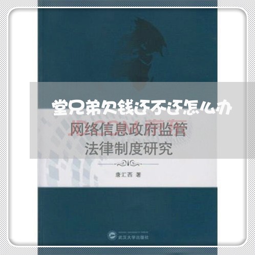 堂兄弟欠钱还不还怎么办/2023120429583