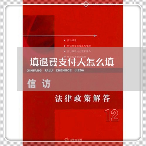 填退费支付人怎么填/2023052227048