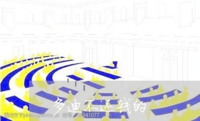 多迪不还钱的/2023100951584