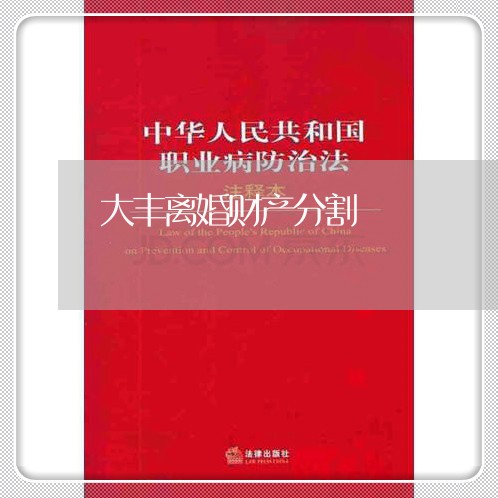 大丰离婚财产分割/2023100216248