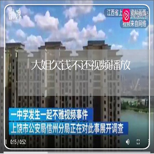 大姐欠钱不还视频播放/2023111596816