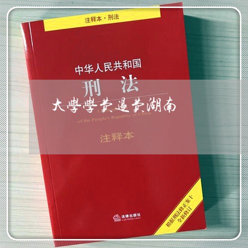 大学学费退费湖南/2023042704048