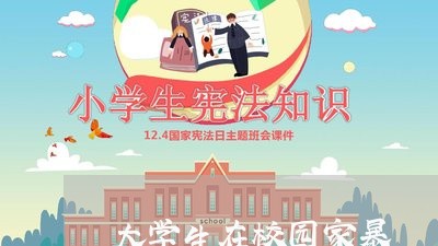 大学生在校园家暴/2023101447483