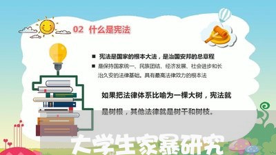 大学生家暴研究/2023122117026