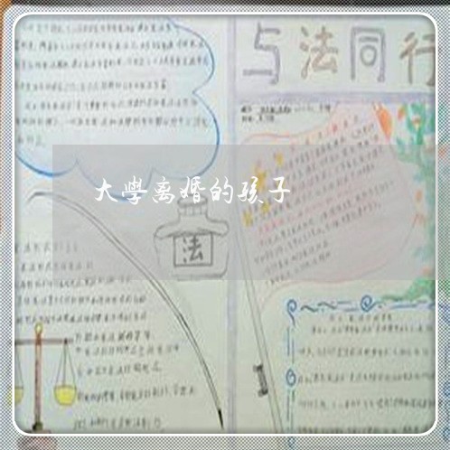 大学离婚的孩子/2023121508160