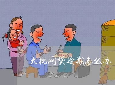 大批网贷逾期怎么办/2023103180795