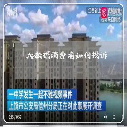 大数据消费者如何投诉/2023021963057