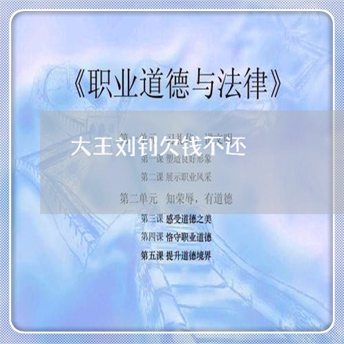 大王刘钊欠钱不还/2023111418382