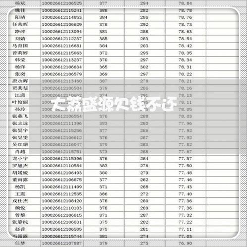 大荔盛源欠钱不还/2023111450250