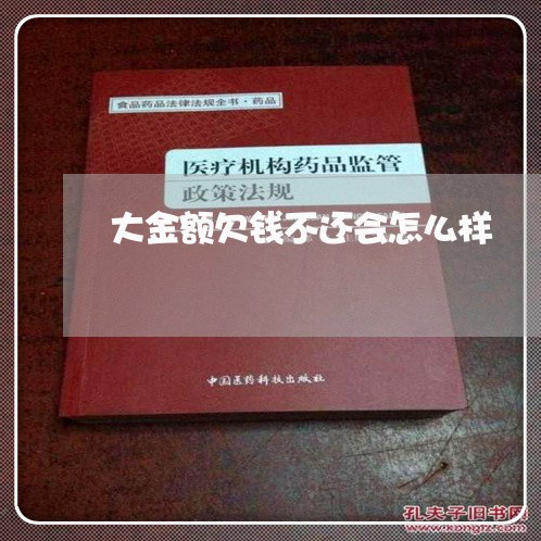 大金额欠钱不还会怎么样/2023092898470