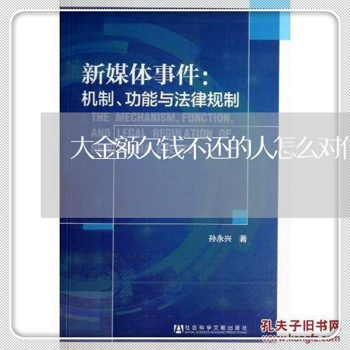 大金额欠钱不还的人怎么对付/2023112473626