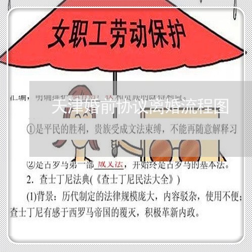 天津婚前协议离婚流程图/2023111496905