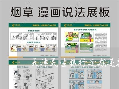 天津民生银行逾期还款协商/2023091696037