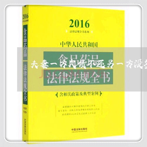 夫妻一方欠债不还另一方没签字/2023110938614