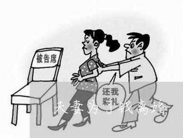 夫妻为了钱离婚/2023121564623