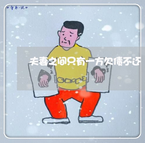 夫妻之间只有一方欠债不还/2023111006035