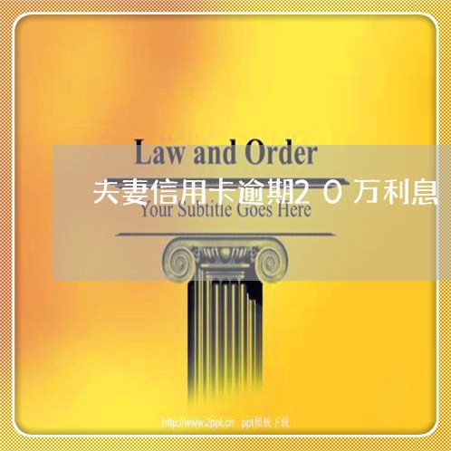 夫妻信用卡逾期20万利息/2023050427250