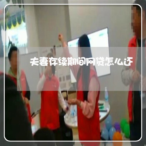 夫妻存续期间网贷怎么还/2023111582925