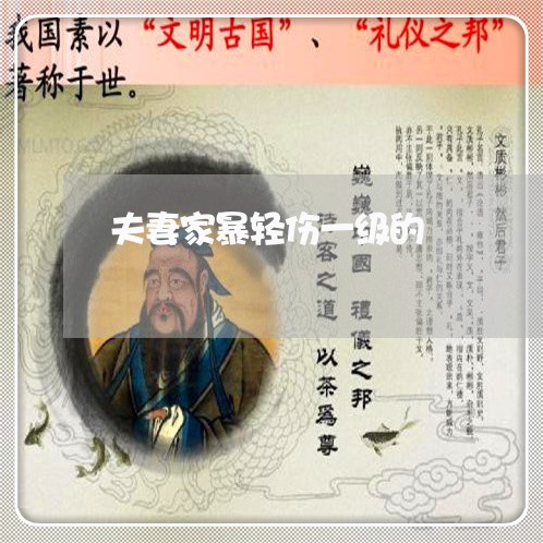 夫妻家暴轻伤一级的/2023110747371