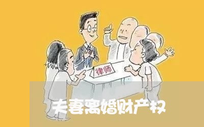 夫妻离婚财产权/2023090596828