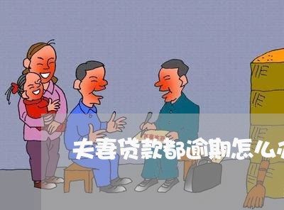 夫妻贷款都逾期怎么办信用卡/2023072388379