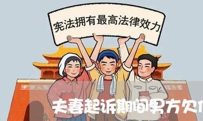 夫妻起诉期间男方欠债不还/2023102551503