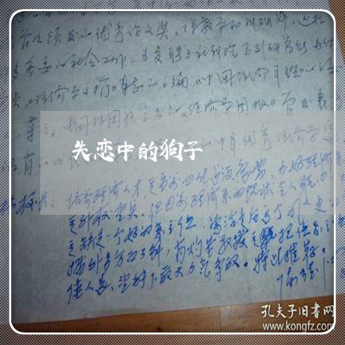 失恋中的狗子/2023082794048