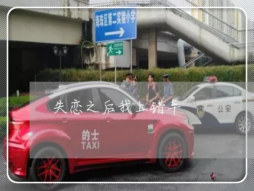 失恋之后我上错车/2023110150582