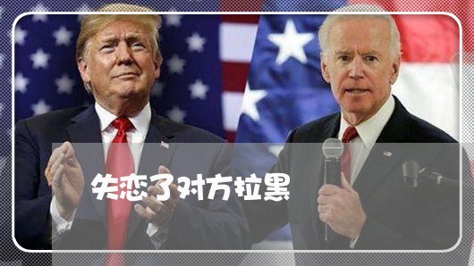 失恋了对方拉黑/2023121830360