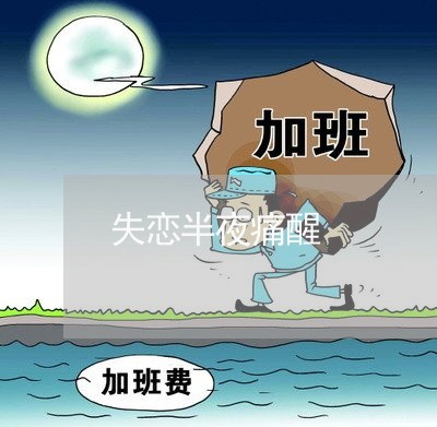 失恋半夜痛醒/2023120749162