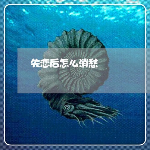 失恋后怎么消愁/2023121894948