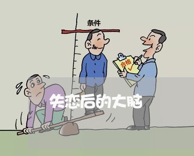 失恋后的大脑/2023120804936