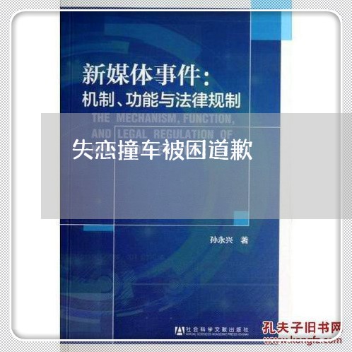 失恋撞车被困道歉/2023103114959