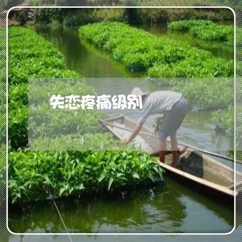 失恋疼痛级别/2023083027379