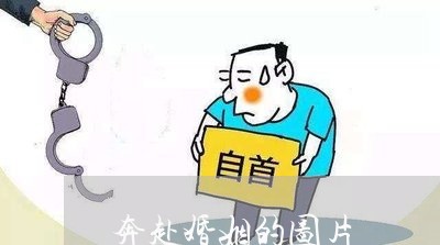 奔赴婚姻的图片/2023112897058