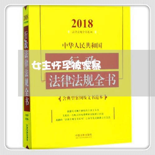 女主怀孕被家暴/2023122184147