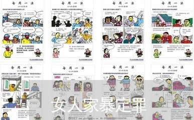 女人家暴定罪/2023120384714