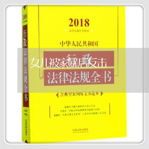 女儿被家暴后反击/2023101329361