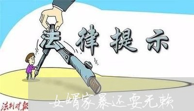 女婿家暴还耍无赖/2023100871694