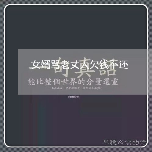 女婿骂老丈人欠钱不还/2023112774928