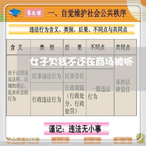 女子欠钱不还在商场被抓/2023110285036