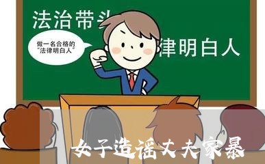 女子造谣丈夫家暴/2023101106249