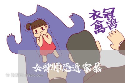 女律师恐遭家暴/2023121991391