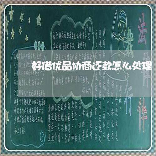 好借优品协商还款怎么处理/2023100695850