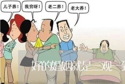 好的婚姻就是三观一致吗/2023081483605