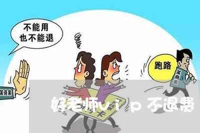 好老师vip不退费/2023061427152